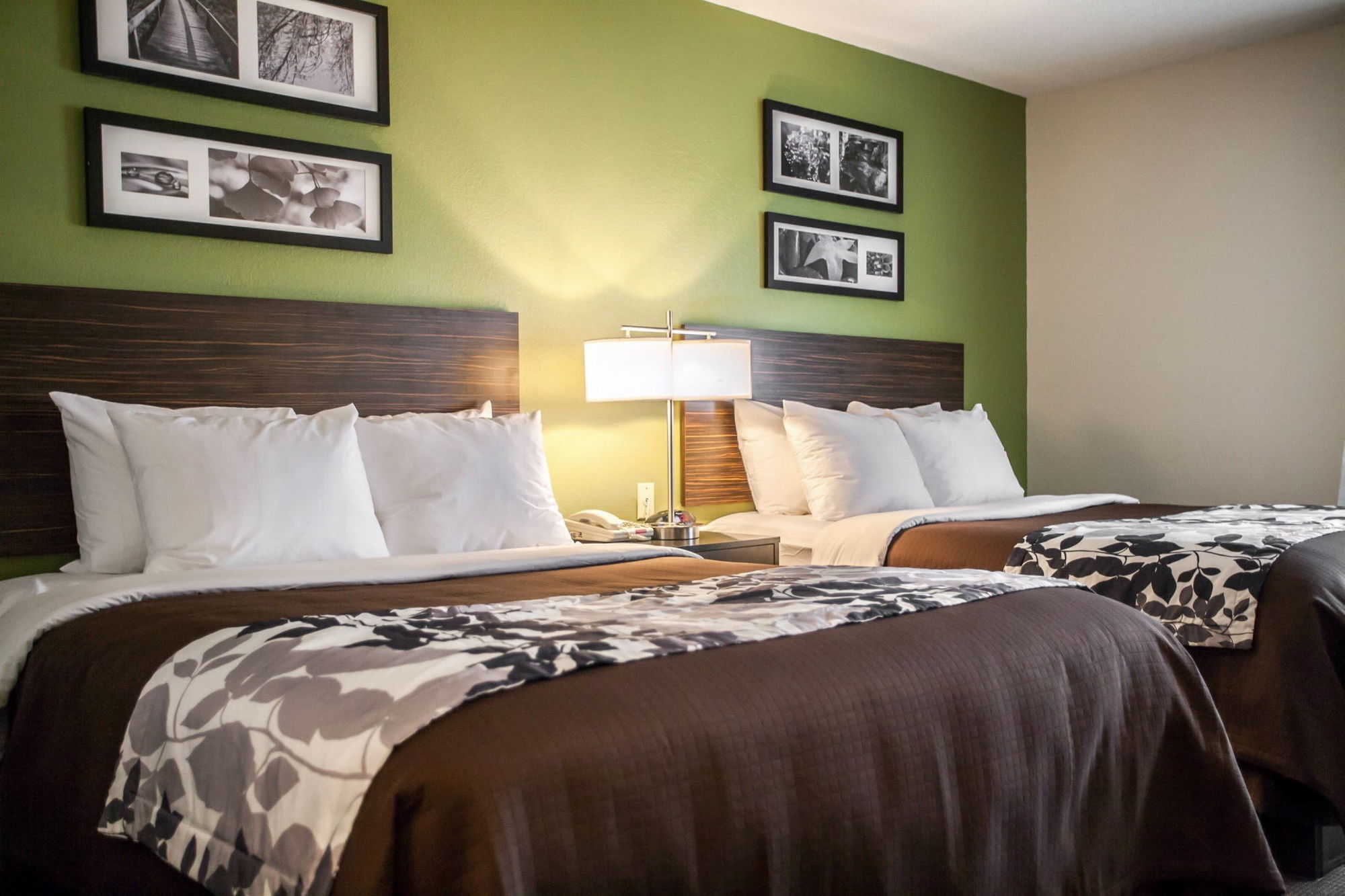 Sleep Inn & Suites Metairie Room photo